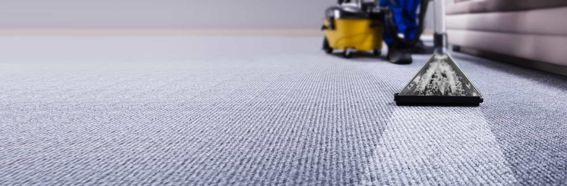 morristown carpet cleaning