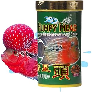 humpy head fish food price