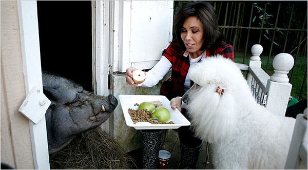 judge jeanine poodles