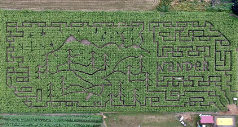 corn maze in surrey