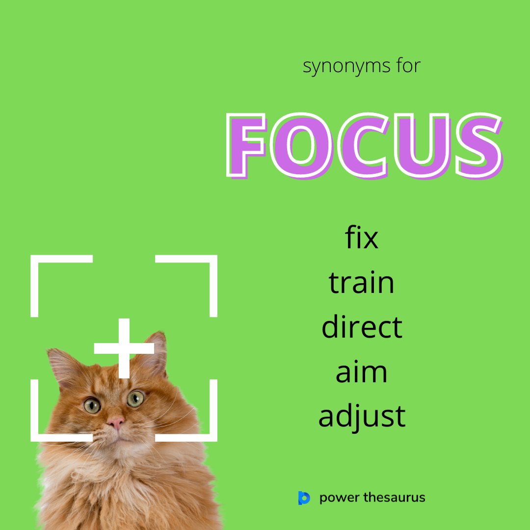 synonym focus