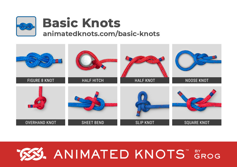 animated knots