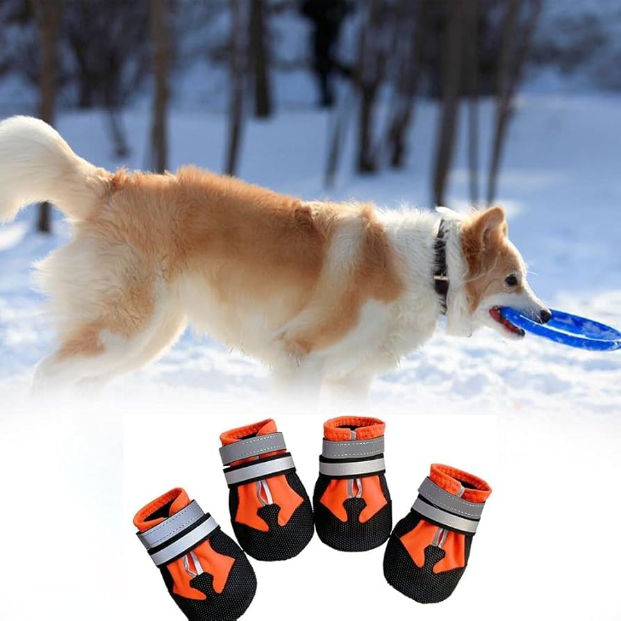 dog boots for injured paws uk