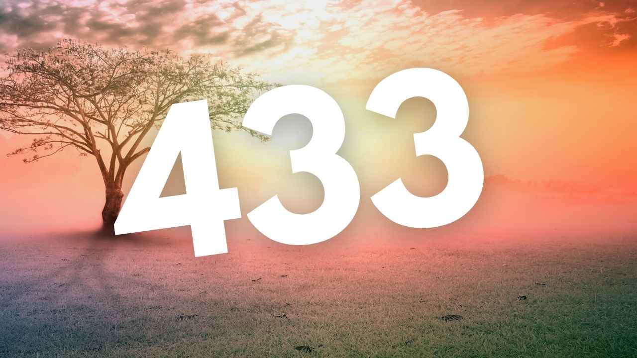 433 meaning twin flame