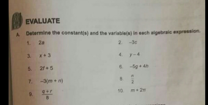 determine the constant and the variable in each algebraic expression