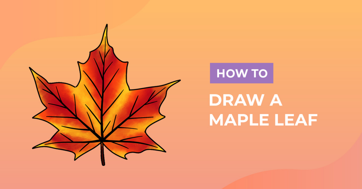 draw a maple leaf