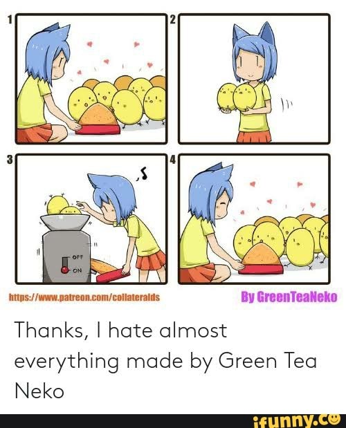 green tea neko