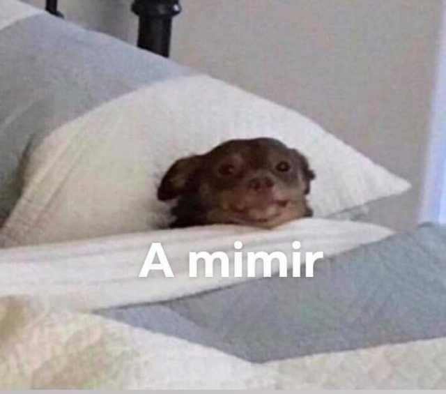 memes a mimir