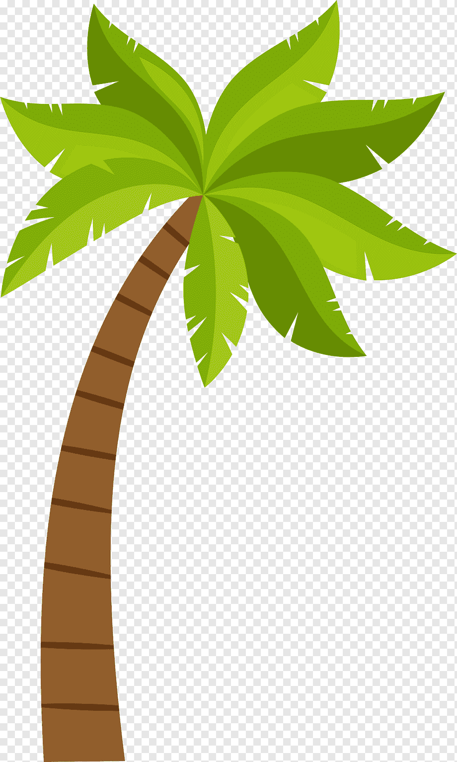 coconut tree clipart png