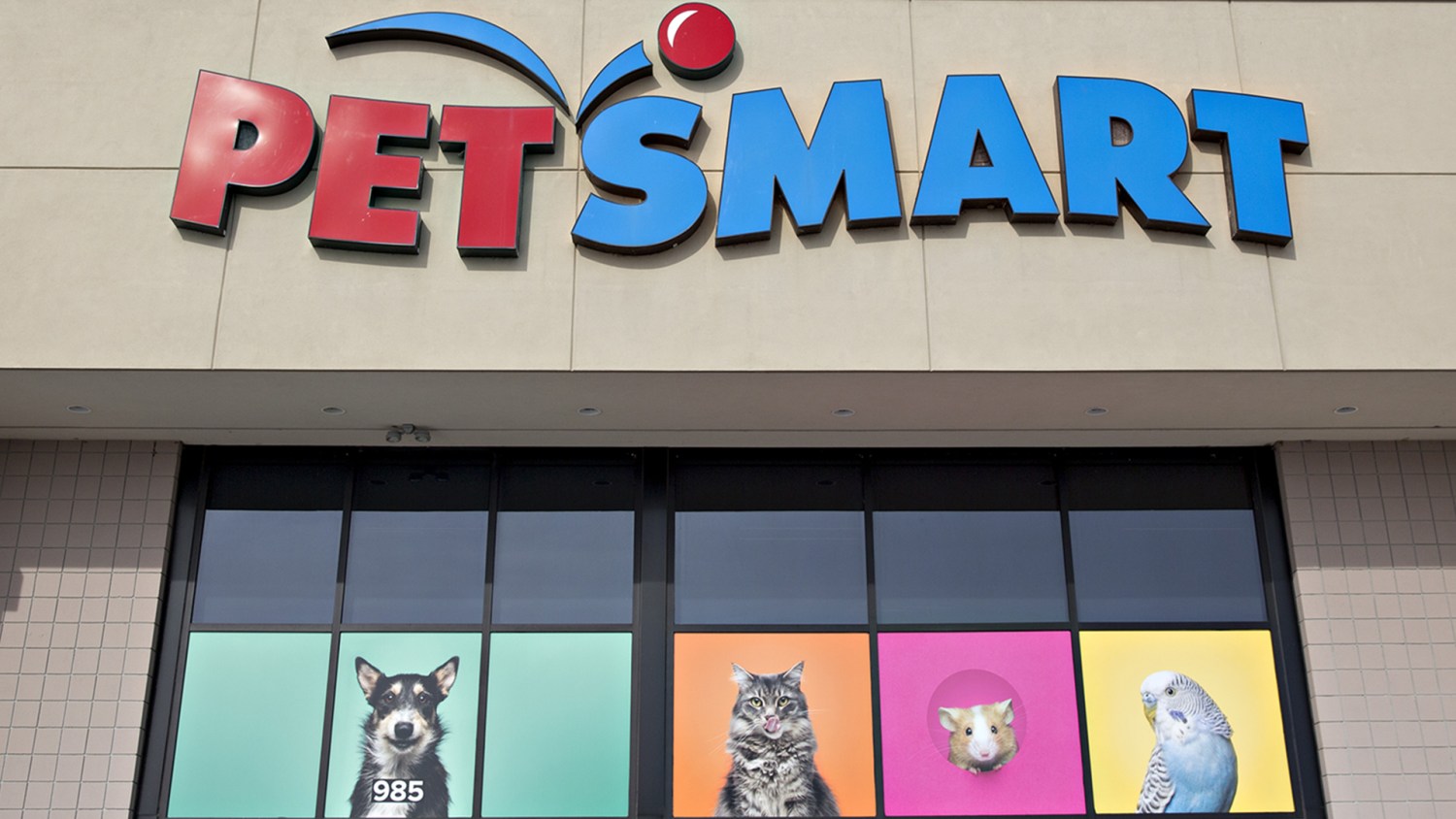 petsmart near me