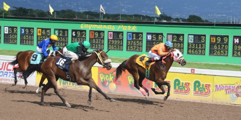 caymanas race track