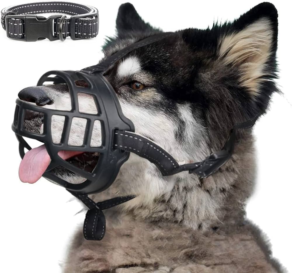 dog muzzle amazon