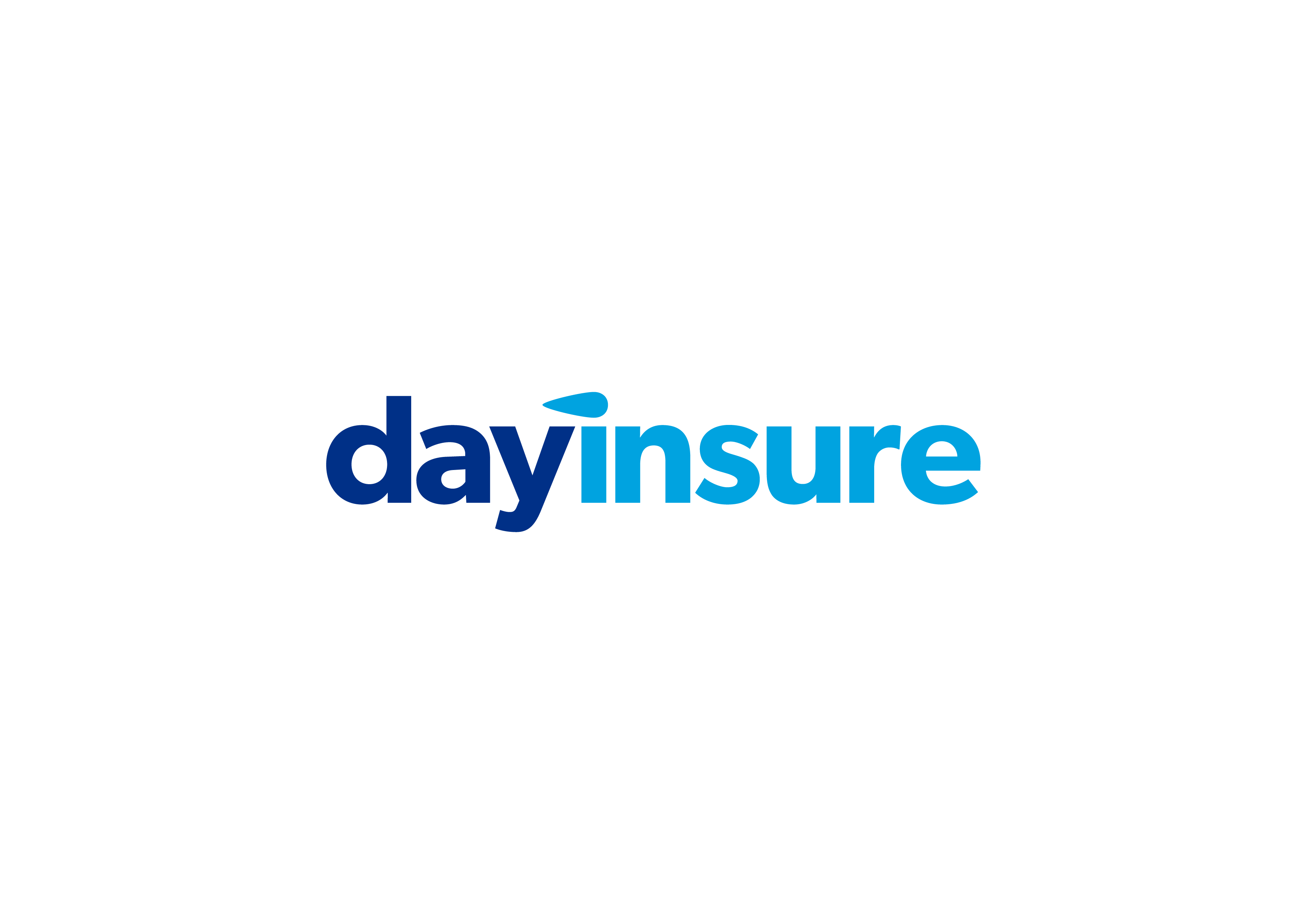 dayinsure review