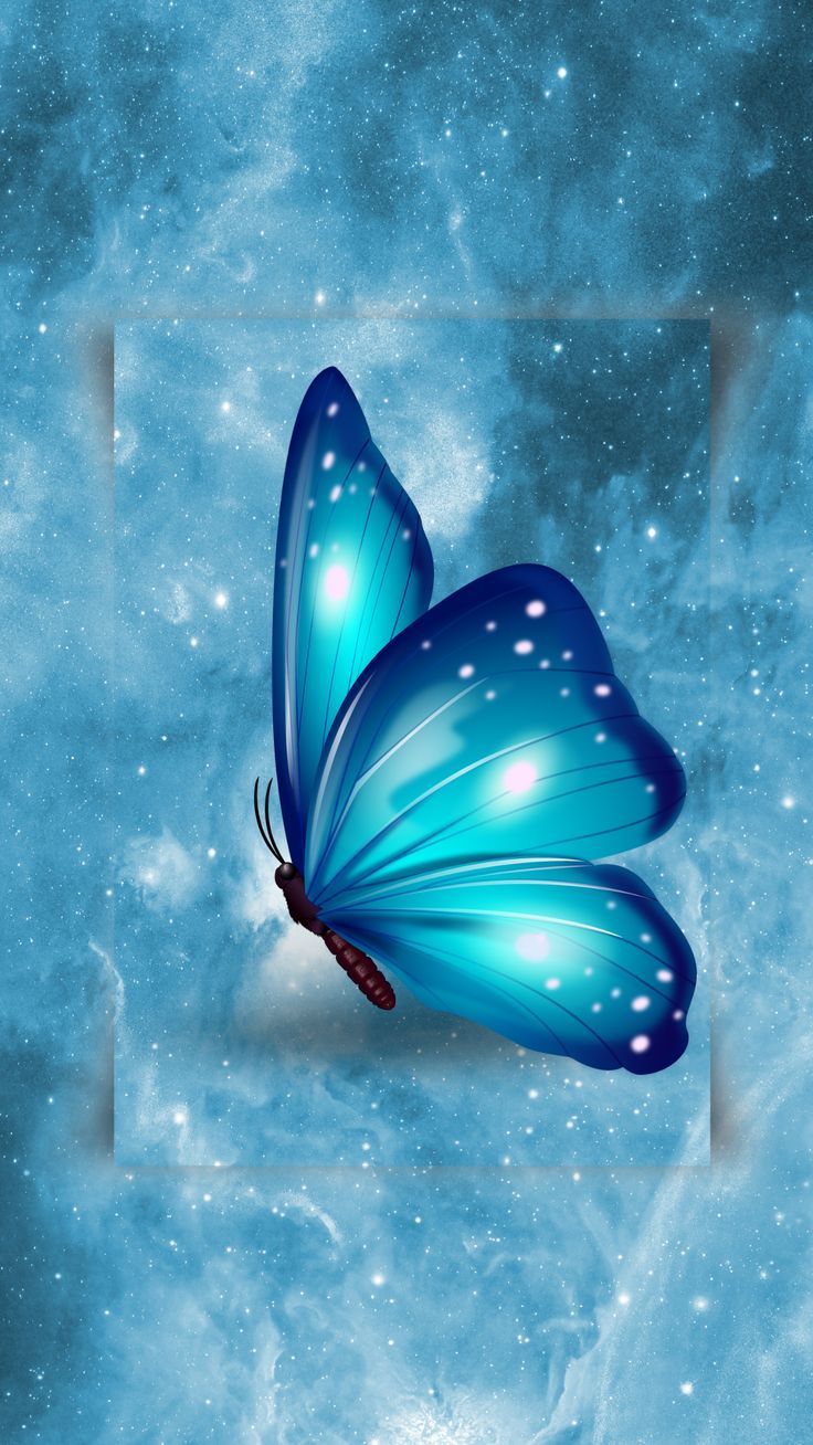 beautiful blue butterfly wallpaper