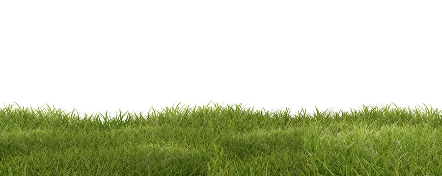 grass png hd