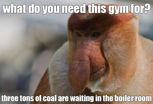 proboscis monkey memes