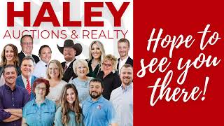 haley auctions and realty