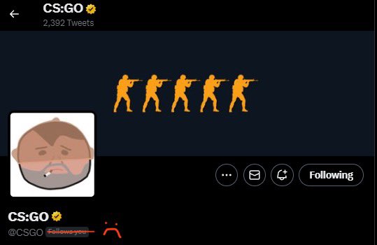 csgo twitter