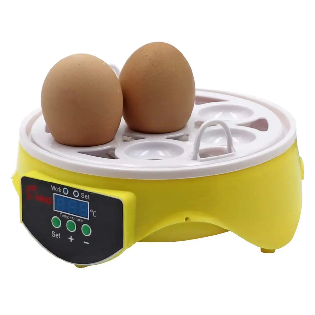 small egg incubator