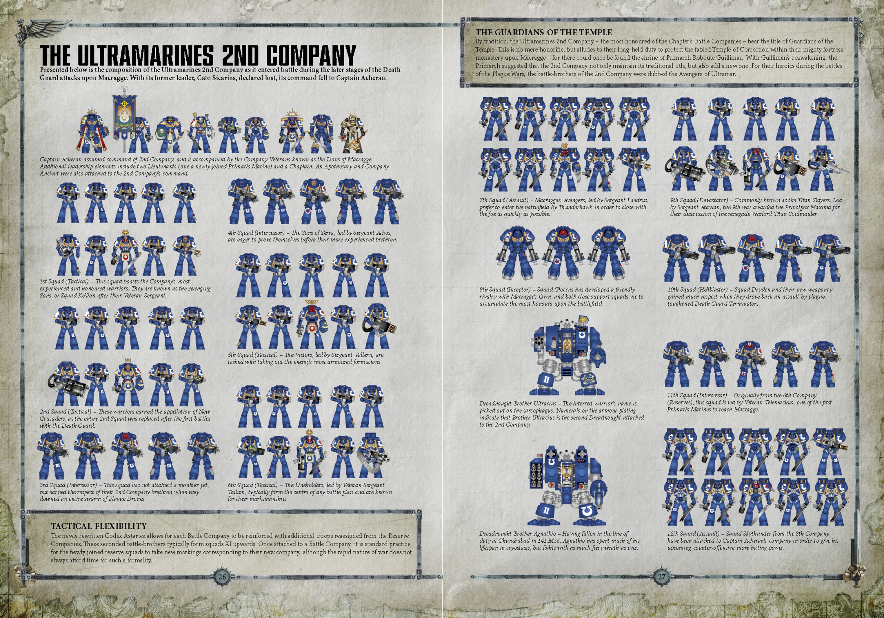 space marine chapter organization