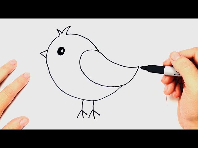 how to draw a simple bird