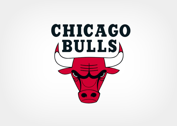 chicago bulls bull