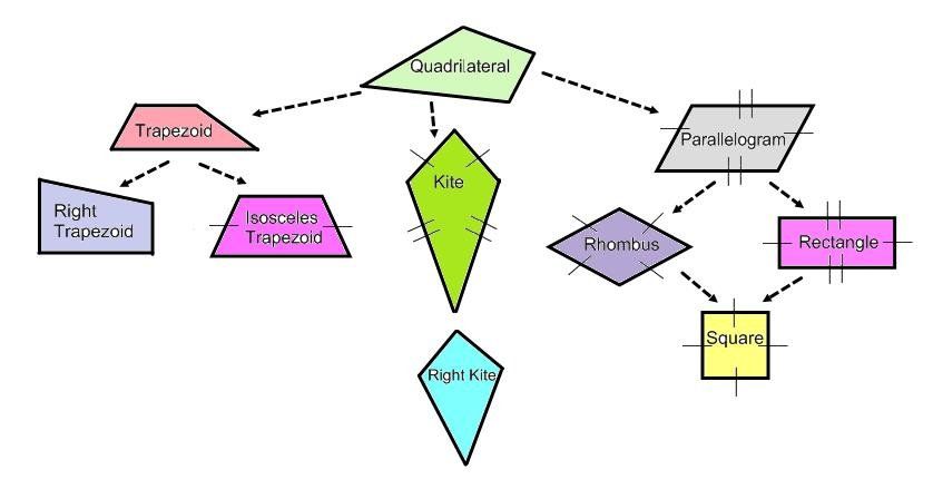 quadrilateral family tree pdf