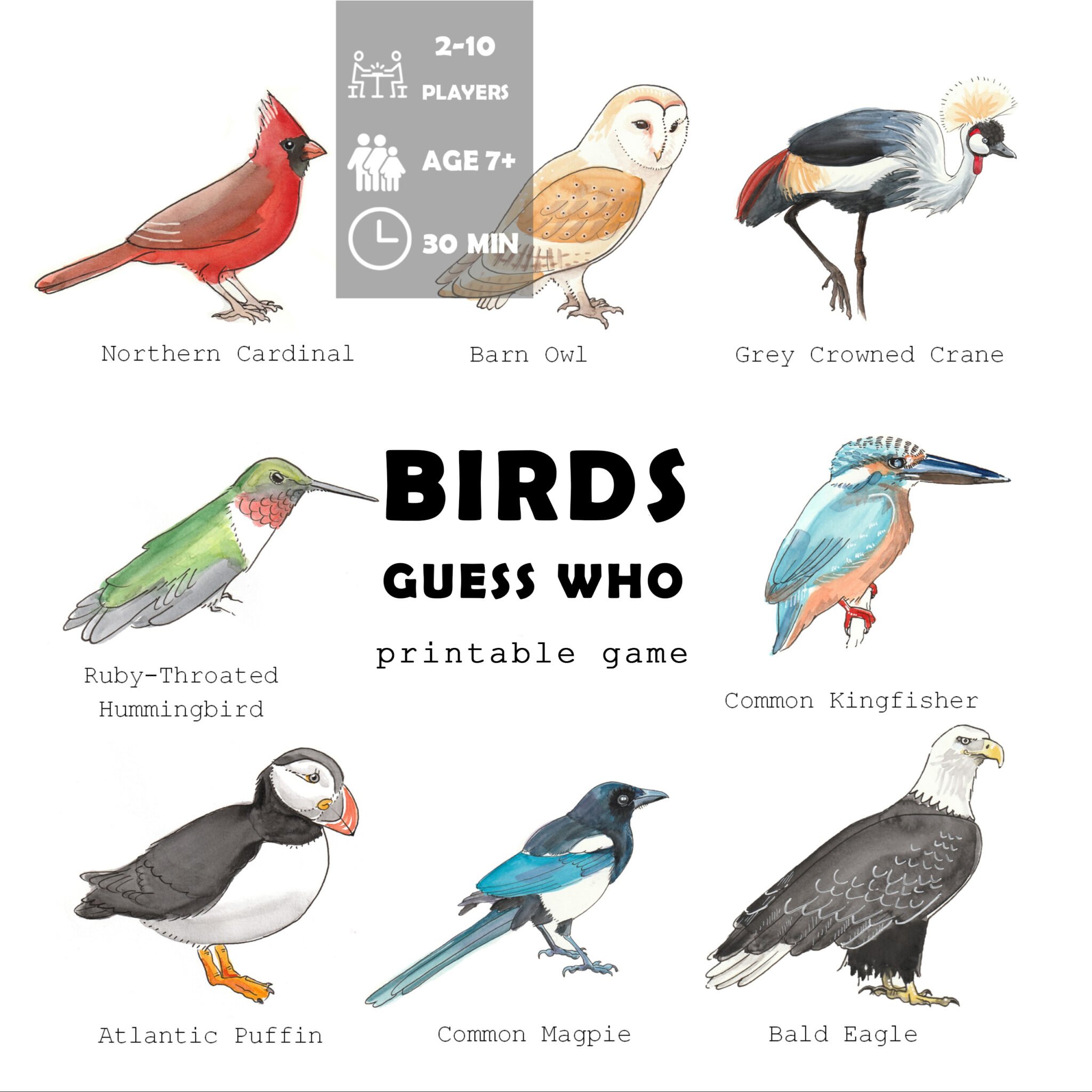 bird guessing game