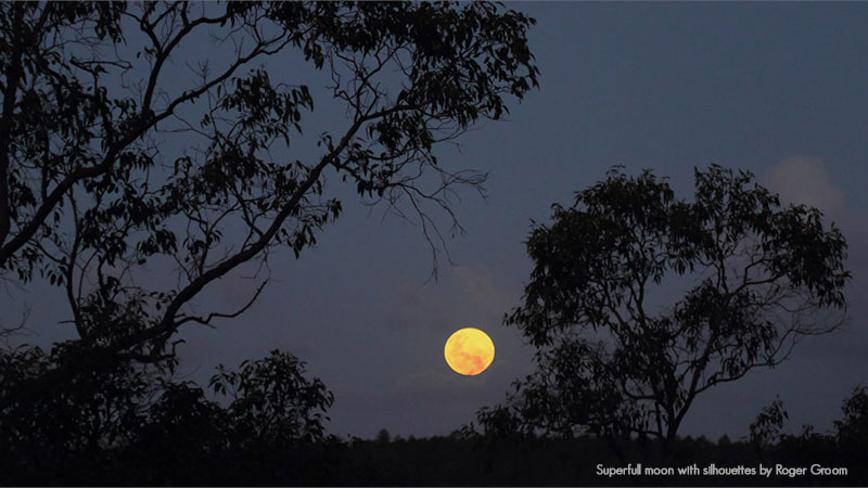 moon phases perth