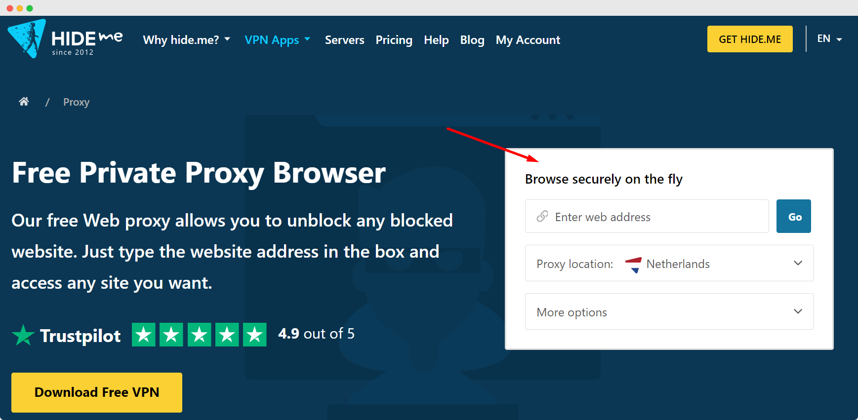 proxy site