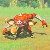 legend of zelda bokoblin