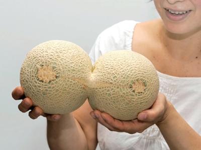 rate my melons