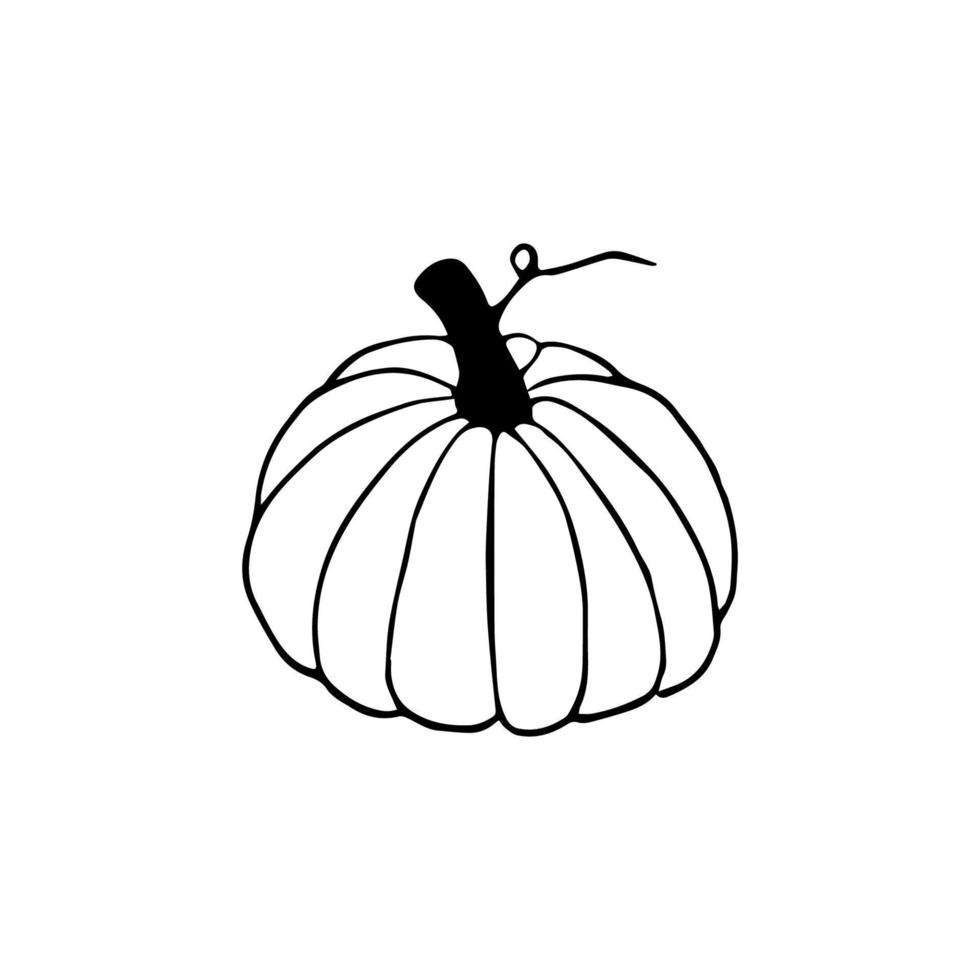 black and white clipart pumpkin