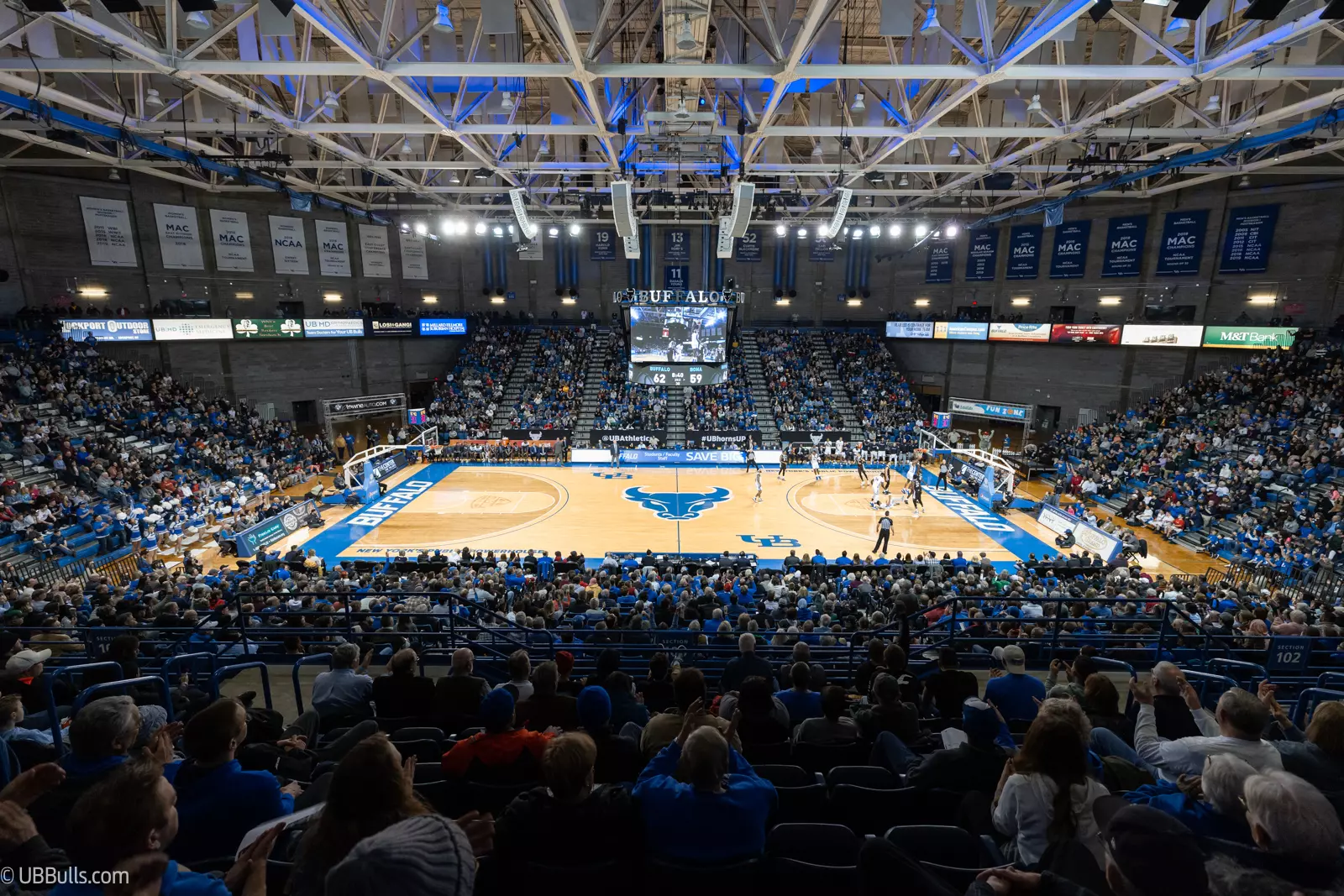 ub bulls basketball