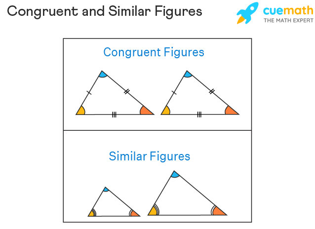 congruent with synonym