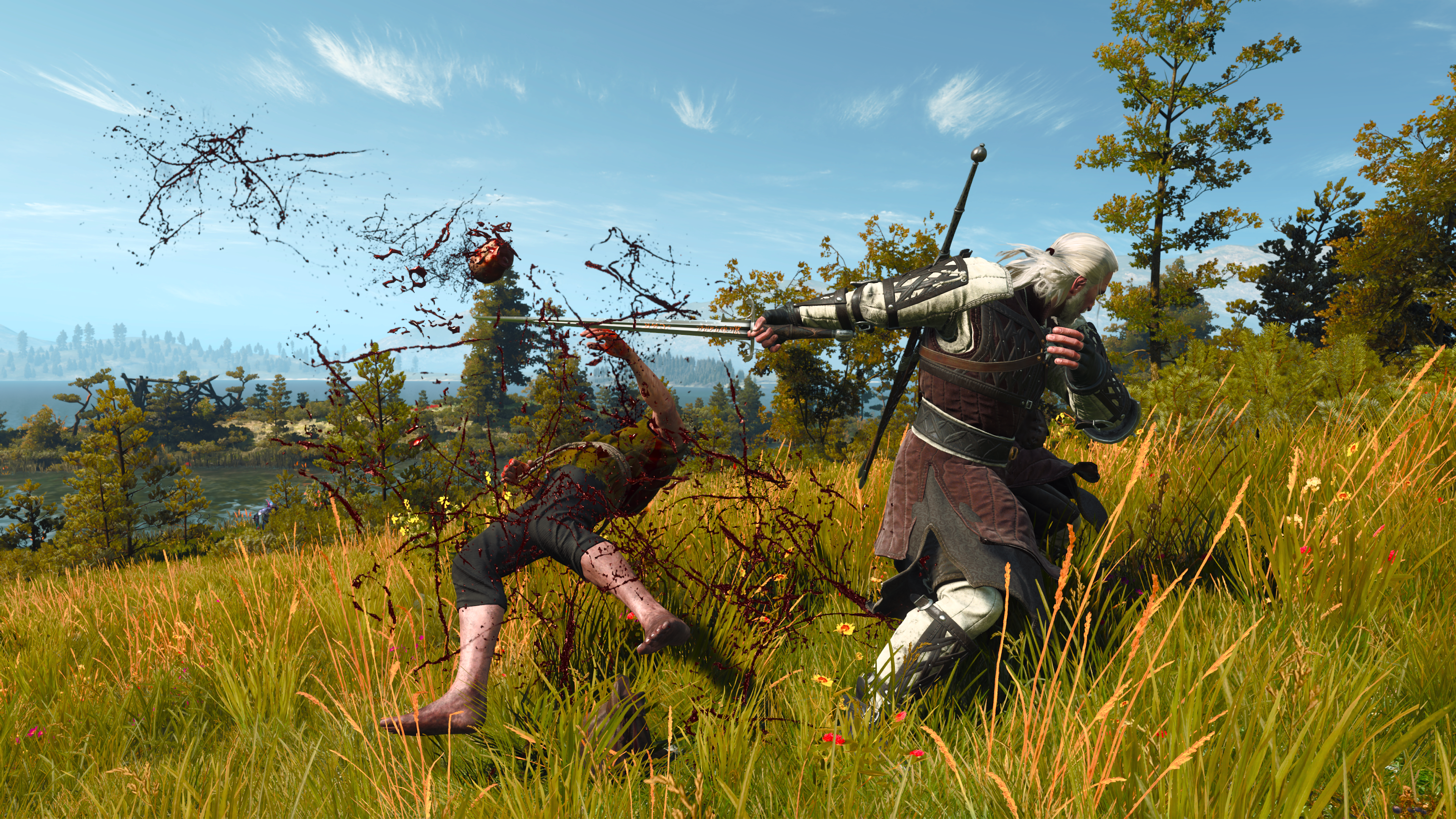 complete animations witcher 3