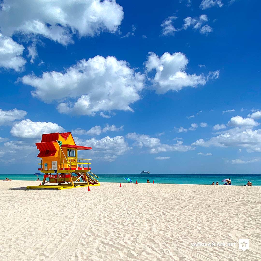 tiempo actual en miami