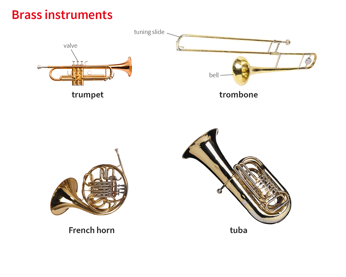 trumpeted meaning in urdu