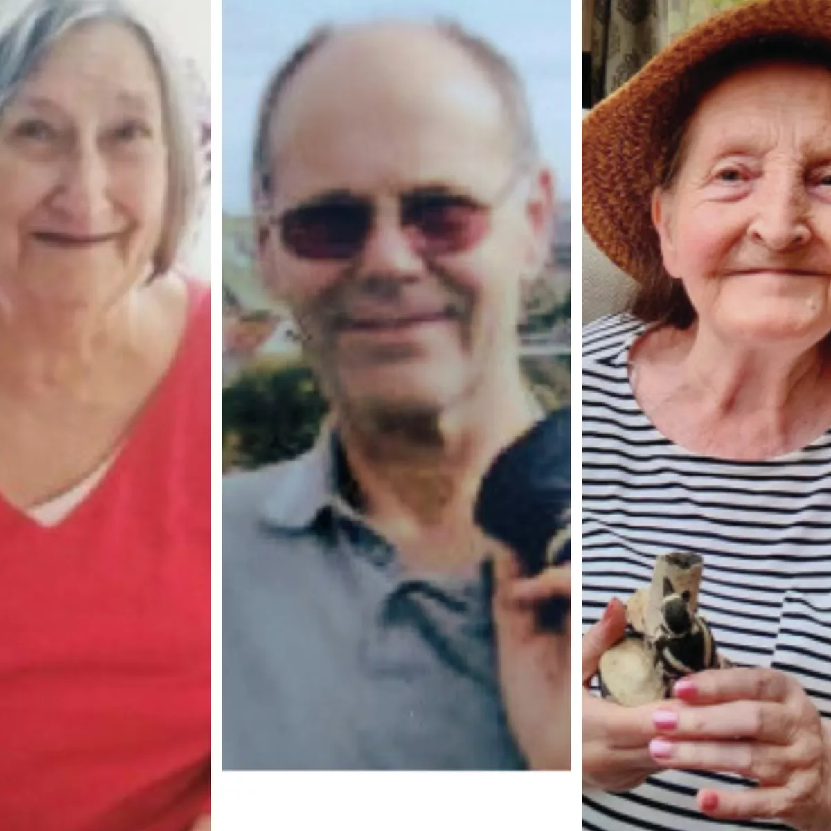 evening post bristol obituaries