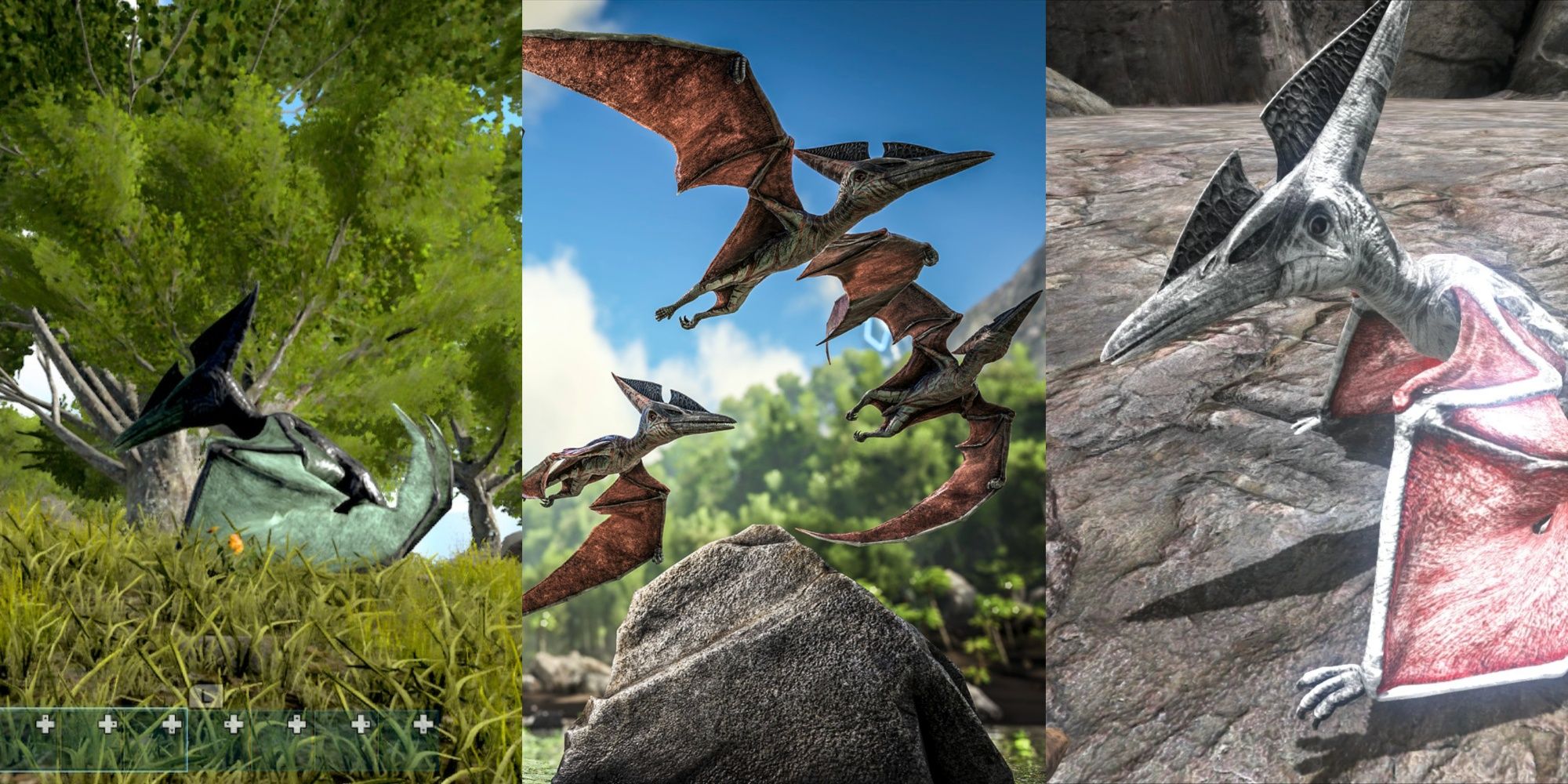 how to tame a pteranodon in ark