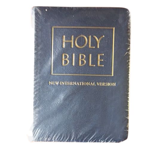 holy bible new international version