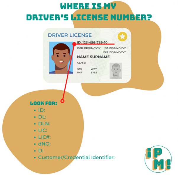 driving licence check by number