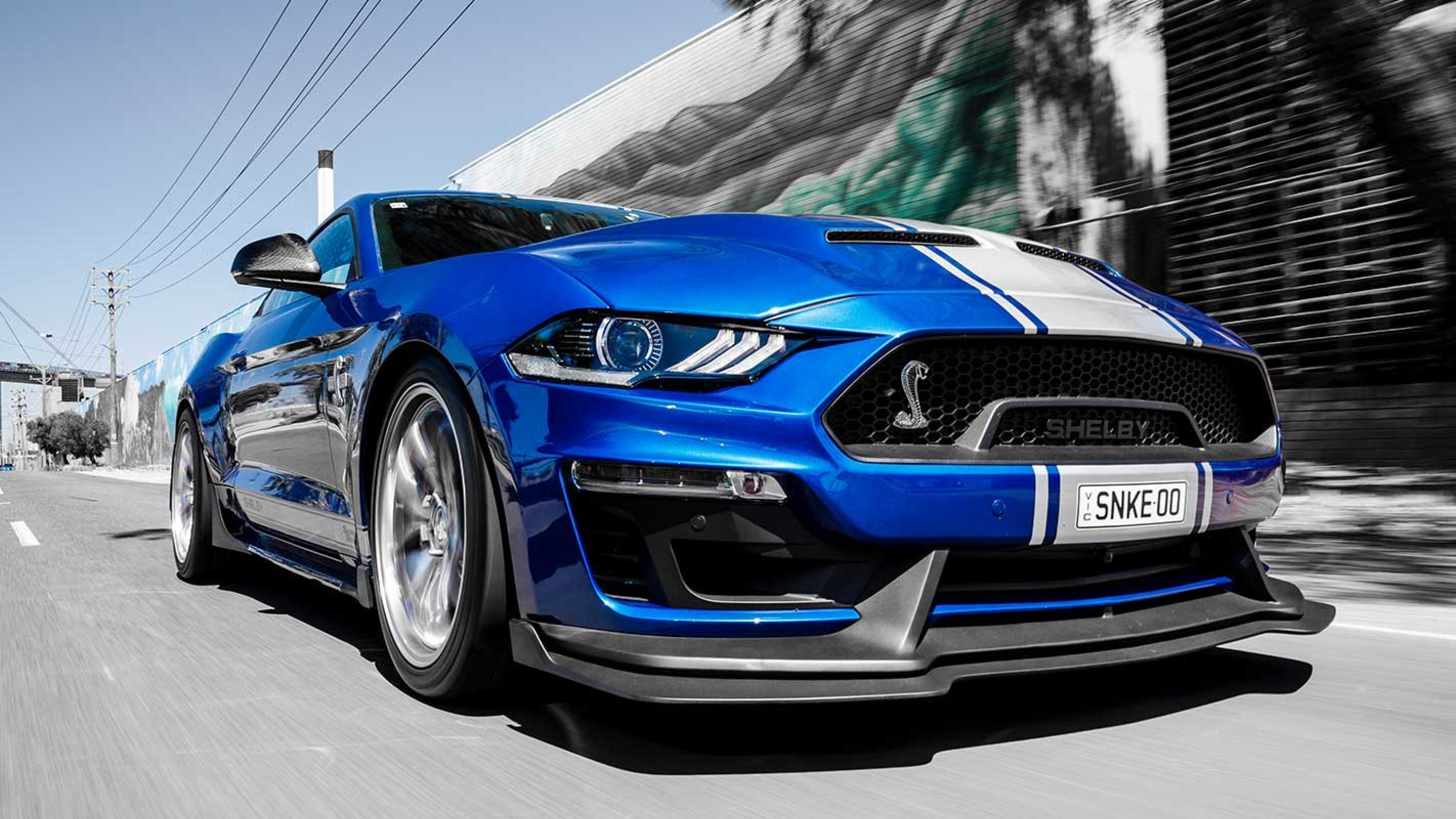 shelby gt500 super snake 2019