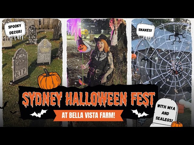 bella vista farm halloween