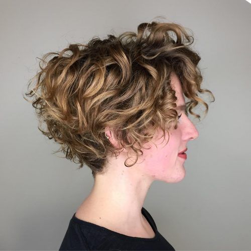 short haircuts for thin curly hair