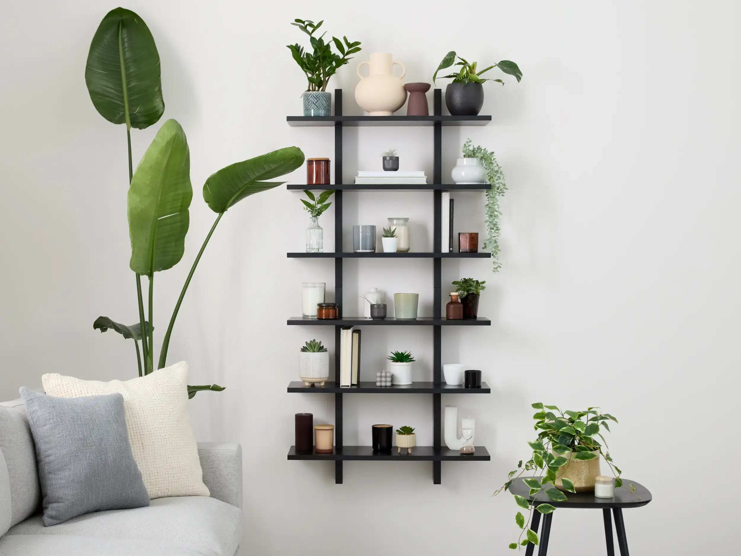 cozey shelves