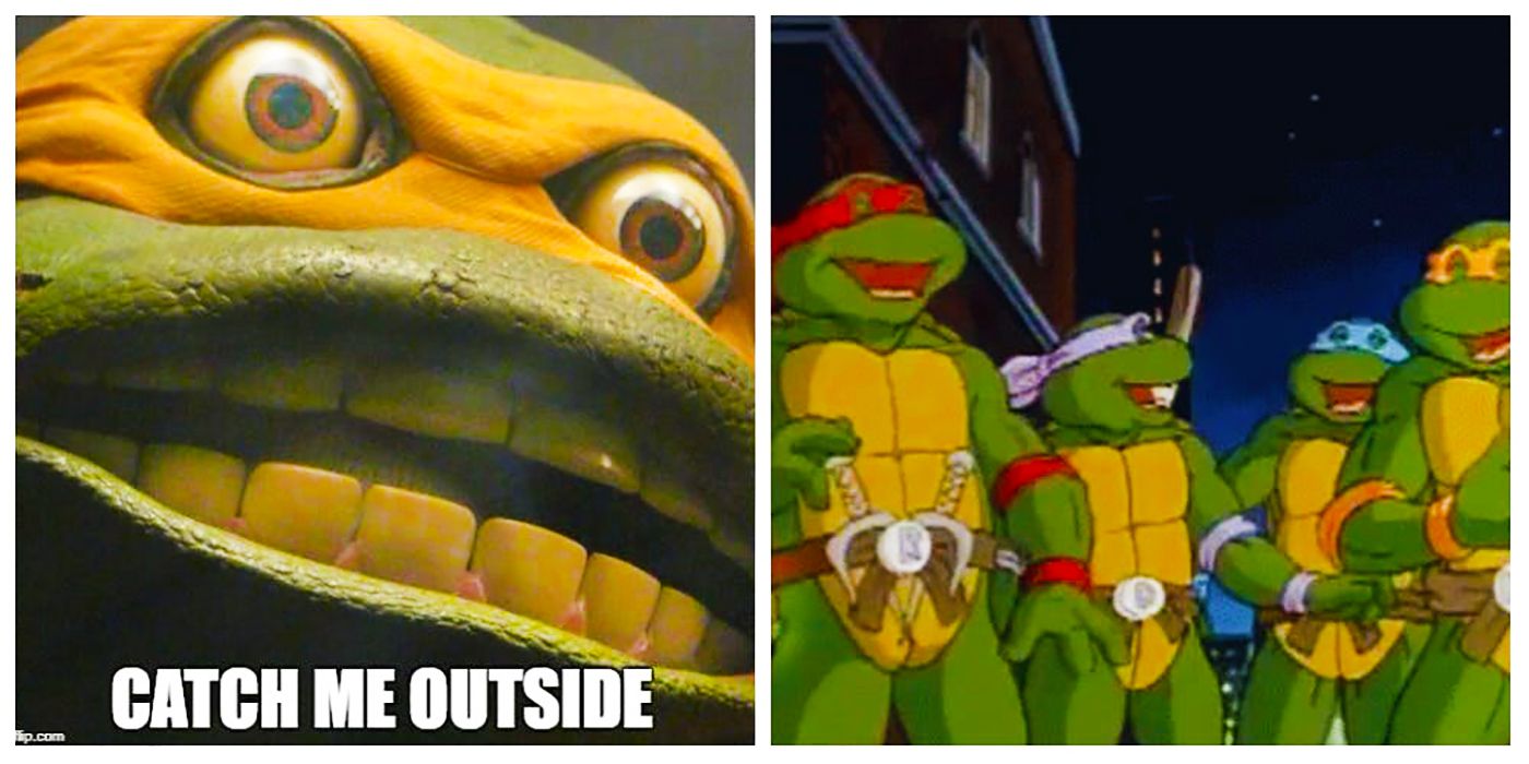 ninja turtle meme