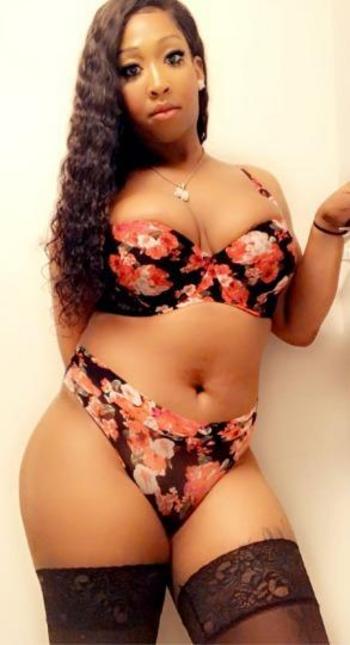 shemale escort bronx