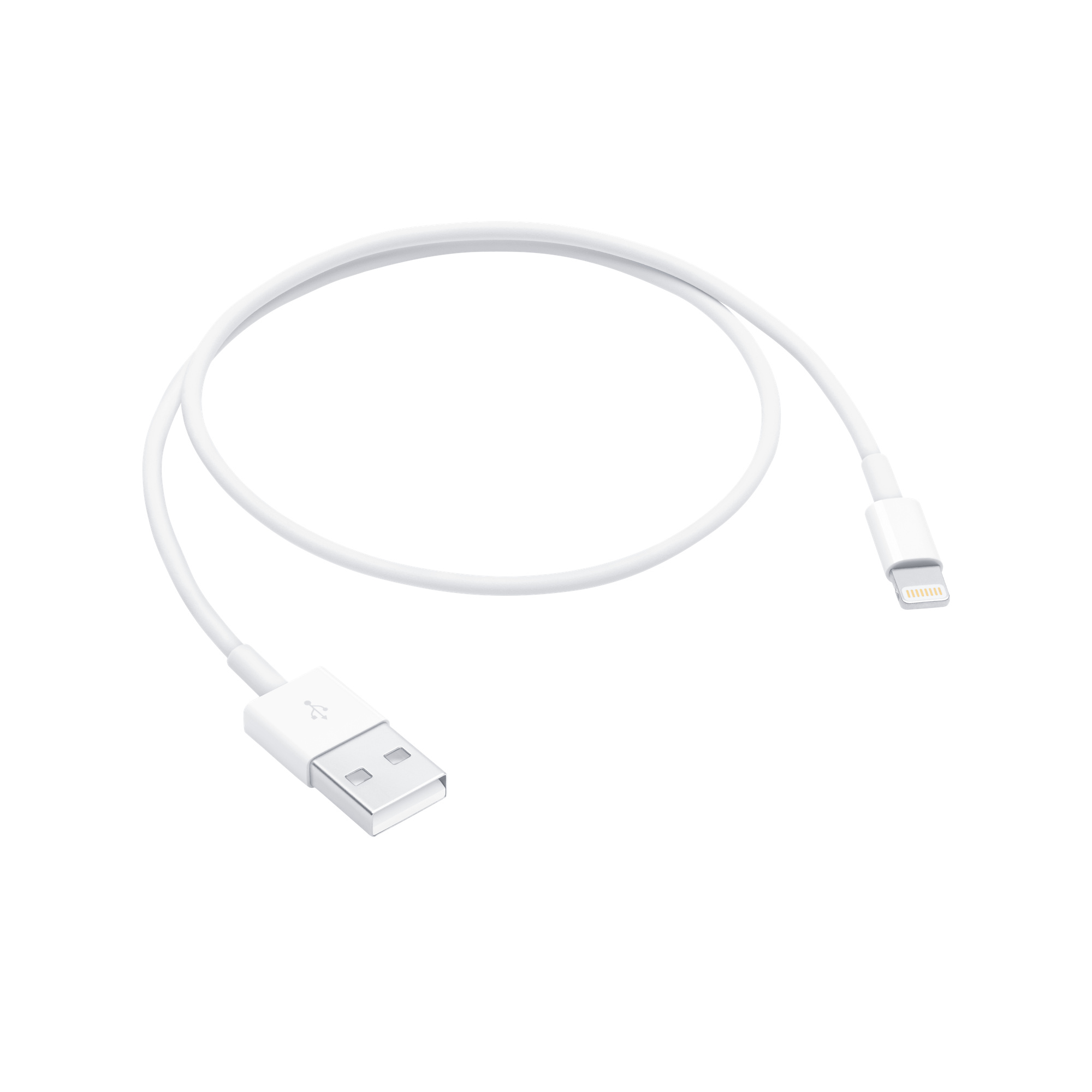 iphone charger from apple store