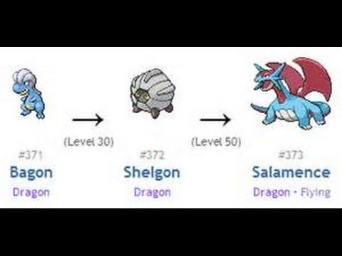 what lvl does shelgon evolve